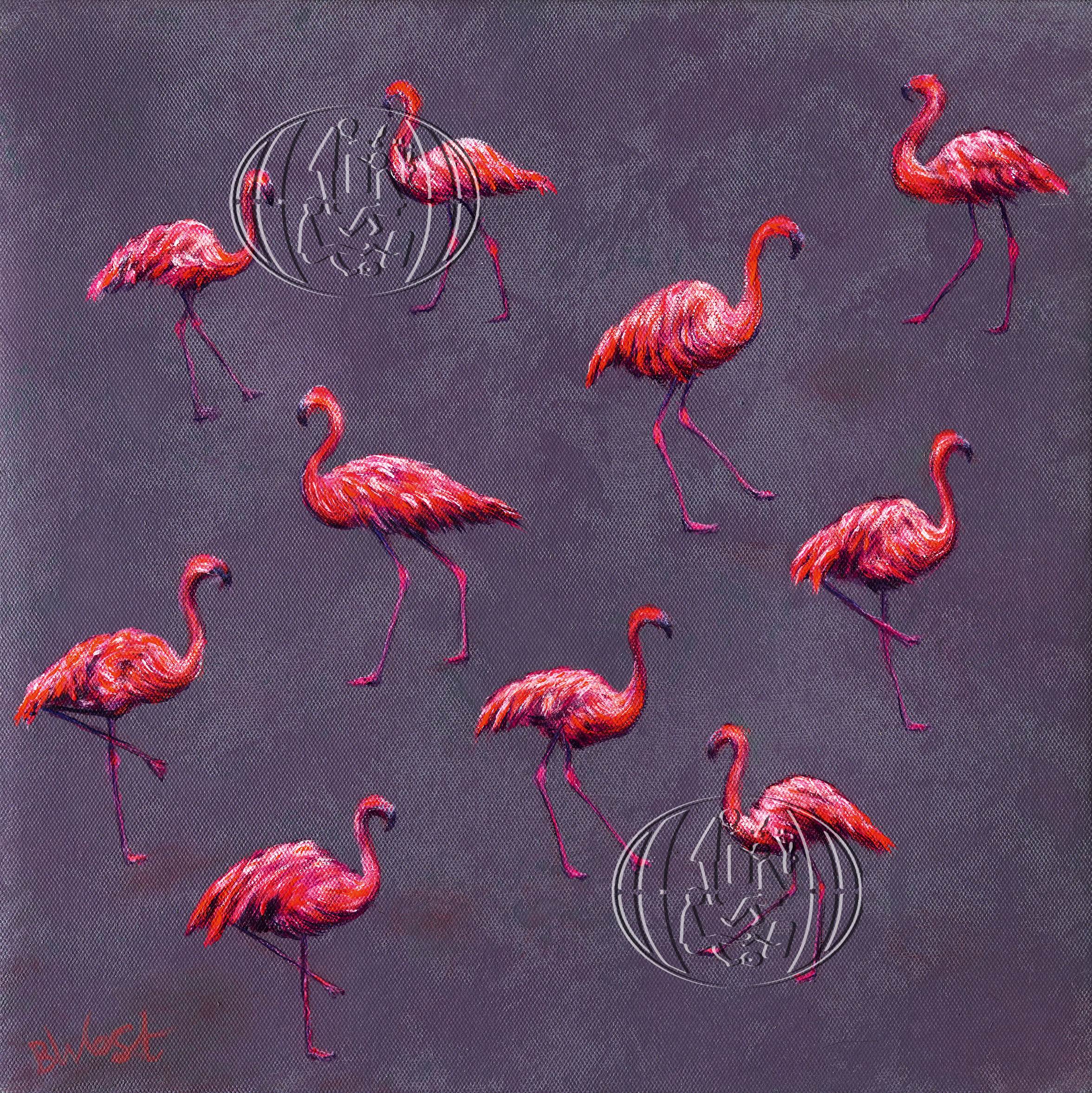 Flamingos Mfpa In Ireland