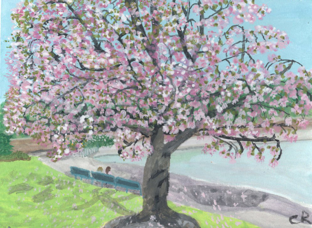 Blossom